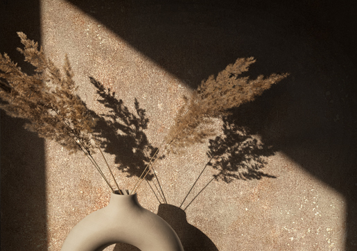 MPlus Pro Chic 2025 Tapete 55005