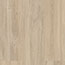 MPlus Wood Design XL 2025 10mm 21008