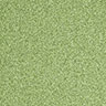 MPlus Avantgarde 2024 1218-023 TR 400cm verlängert 2025