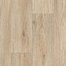 MPlus Standard 2024 140-531 200cm verlängert 2025