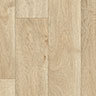 MPlus Standard 2024 140-532 200cm verlängert 2025