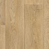 MPlus Standard 2024 140-535 200cm verlängert 2025
