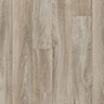 MPlus Standard 2024 141-082 200cm verlängert 2025