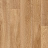 MPlus Standard 2024 141-114 200cm verlängert 2025