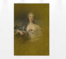 MPlus Chamäleon 2029 V600-130 200x270cm Fresco 2 130 g/qm Mattvlies