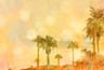 MPlus Chamäleon 2029 V100-163 400x270cm Palm Oasis 1 Strukturvlies