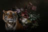 MPlus Chamäleon 2029 L9060-164 90x60cm Wildlife 1 Leinwand