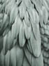 MPlus Chamäleon 2029 V100-173 200x270cm Feathers 2 Strukturvlies