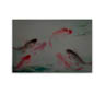 MPlus Chamäleon 2029 V600-180 400x270cm Dancing Kois 1 130 g/qm Mattvlies