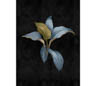MPlus Chamäleon 2029 V600-188 200x270cm Fiji 3 130 g/qm Mattvlies