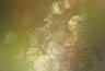 MPlus Chamäleon 2029 V100-196 400x270cm Dutch Pastel 2 Strukturvlies