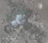 MPlus Chamäleon 2029 V100-201 300x270cm Bouquet gris 2 Strukturvlies
