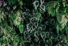 MPlus Chamäleon 2029 V600-229 400x270cm Deep Green 2 130 g/qm Mattvlies