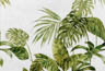 MPlus Chamäleon 2029 V200-232 400x270cm Tropical Leave 1 200g/qm Premiumvlies