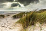 MPlus Chamäleon 2029 V600-289 400x270cm Düne auf Sylt 130 g/qm Mattvlies