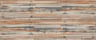 MPlus Chamäleon 2029 L9060-42 90x60cm Holzbrett bunt Leinwand