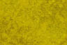 MPlus Chamäleon 2029 L9060-68 90x60cm Bold Gobelin 4 Leinwand