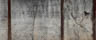 MPlus Chamäleon 2029 V100-9 600x250cm Beton 3 Strukturvlies