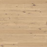 MPlus Aktiv 2024 F-Parkett 2V Ham.534812