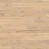 MPlus Aktiv 2024 F-Parkett 2V Ham.534813