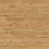 MPlus Aktiv 2024 F-Parkett 2V Ham.534815
