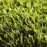 MPlus Outdoor 914 500 cm Outdoor 2024 verlängert 2025