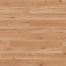 MPlus Simplex 2024 S 535 Beech nat. 2-St