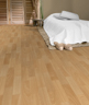 MPlus Standard-Vlies 2024 150-9004 200cm verlängert 2025