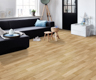 MPlus Standard 2024 131-732 400cm verlängert 2025