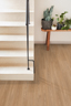 MPlus Premium 2025 270-4110 400 cm