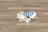 MPlus Simplex 2024 S 240 Oak natural LHD